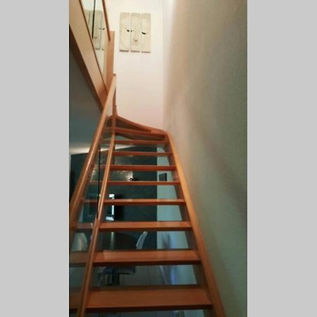 Superbe Duplex Au Nouveau Bassin Avec Vue Superbe Mülhausen Exterior foto